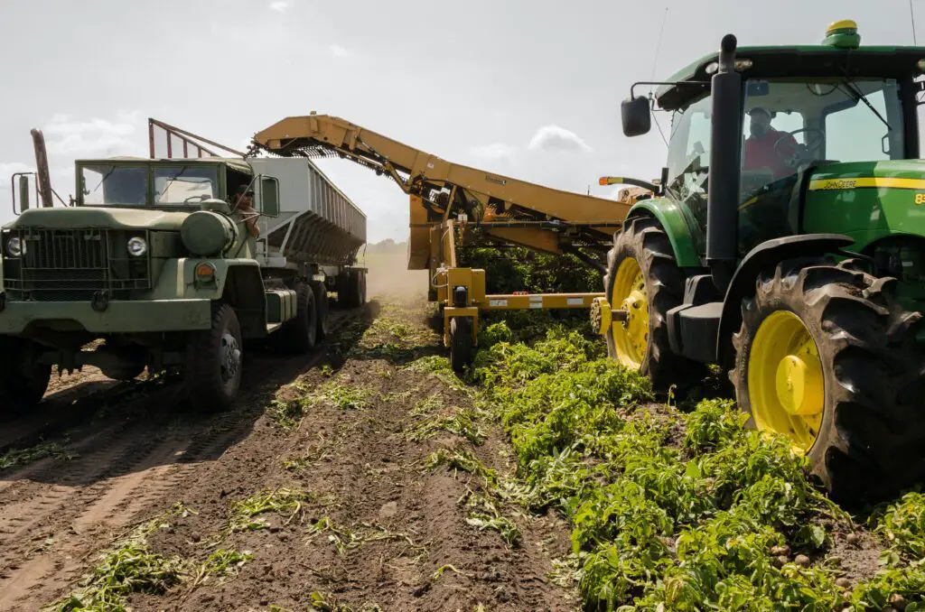 AI in Agriculture