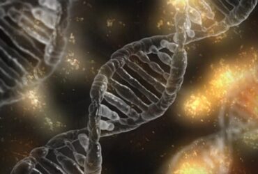 **DNA fingerprinting in forensic science**