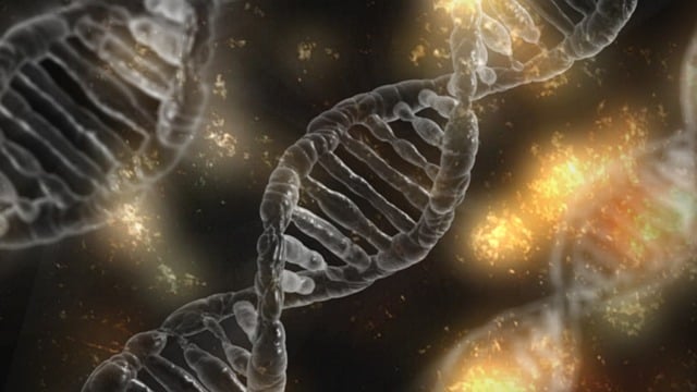 **DNA fingerprinting in forensic science**