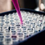 precision medicine and genetic testing